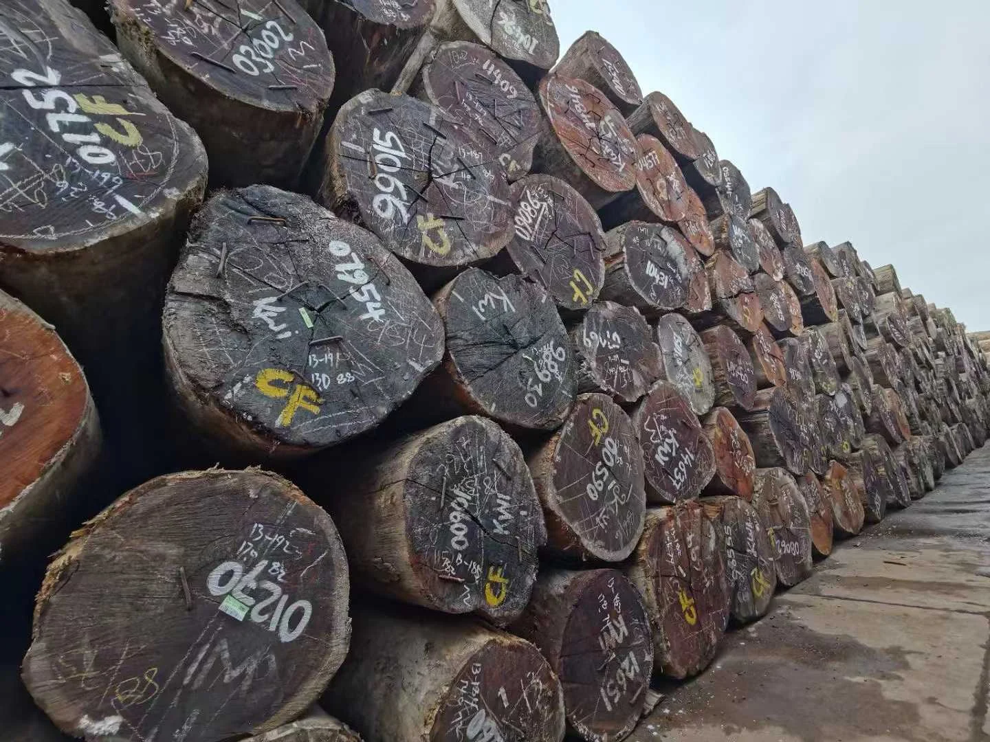 Round timber logs stored in a materials yard