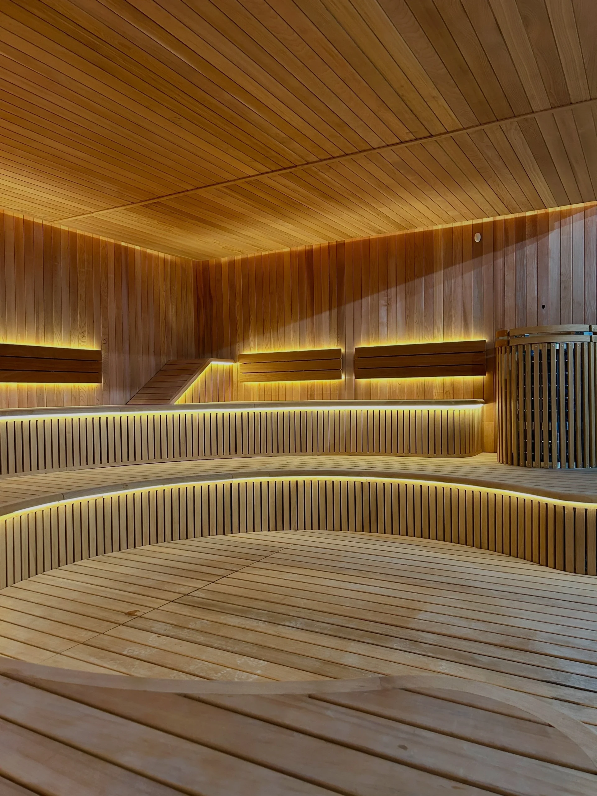 Curved commercial sauna seating designed for a gym recovery area